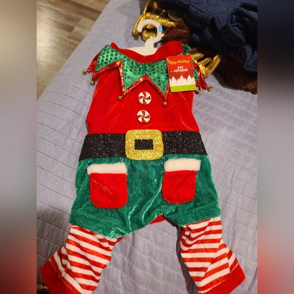 Other - Elf Holiday Pet Outfit